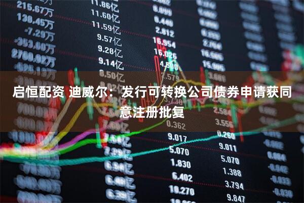 启恒配资 迪威尔：发行可转换公司债券申请获同意注册批复